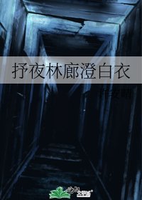 《抒夜林廊澄白衣》