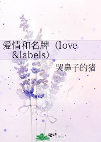 《爱情和名牌(love&labels)》