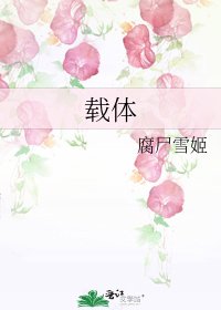 载体