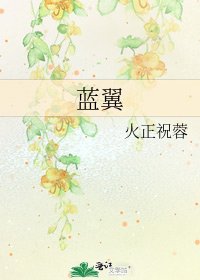 《蓝翼》