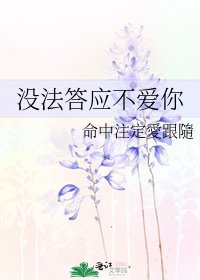 《没法答应不爱你》
