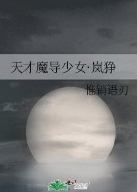 《天才魔导少女·岚狰》