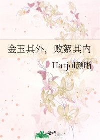 《金玉其外,败絮其内》