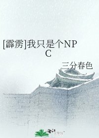 [霹雳]我只是个NPC