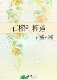 石榴和榴莲