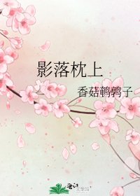 《影落枕上》