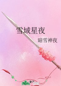 《雪域星夜》