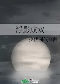 《浮影成双》