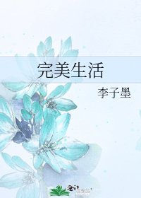 《完美生活》