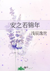 《安之若锦年》