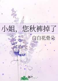 《小姐,您秋裤掉了》