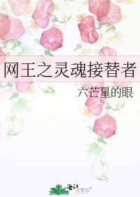 网王之灵魂接替者