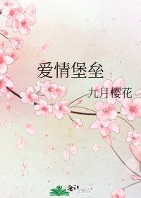 《爱情堡垒》