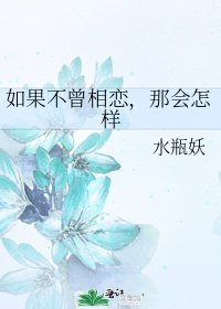 《如果不曾相恋,那会怎样》