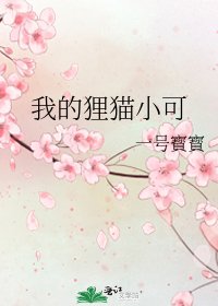 《我的狸猫小可》