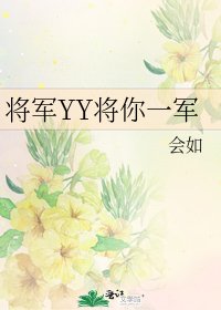 《将军YY将你一军》