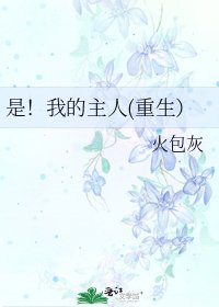 是！我的主人(重生）