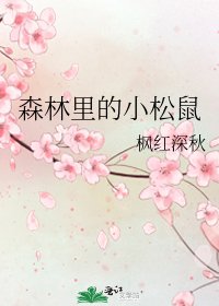 《森林里的小松鼠》