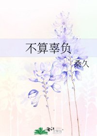 不算辜负