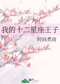 《我的十二星座王子》