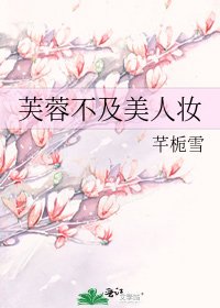 《芙蓉不及美人妆》
