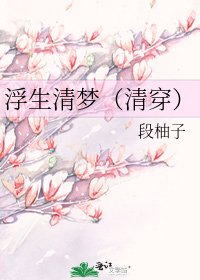 浮生清梦(清穿)