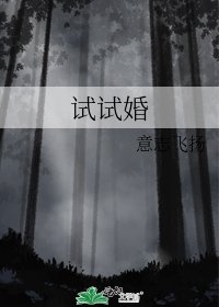《试试婚》