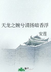 《天龙之婉兮清扬暗香浮》