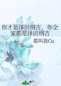 《你才是泽田纲吉,你全家都是泽田纲吉》