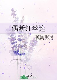 《偶断红丝连》