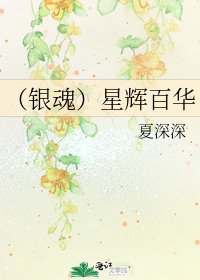 《(银魂)星辉百华》