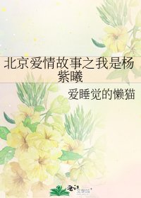 《北京爱情故事之我是杨紫曦》