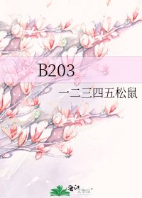 《B203》
