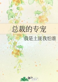 总裁的专宠