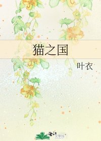 《猫之国》