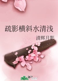 《疏影横斜水清浅》