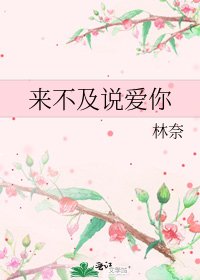 《来不及说爱你》