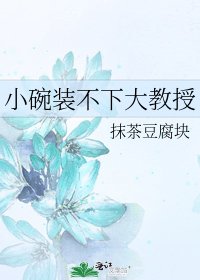 小碗装不下大教授