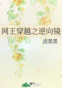 《网王穿越之逆向镜》