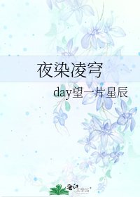 《夜染凌穹》