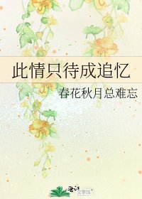 《此情只待成追忆》