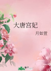 《大唐宫妃》
