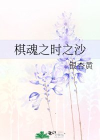 《棋魂之时之沙》