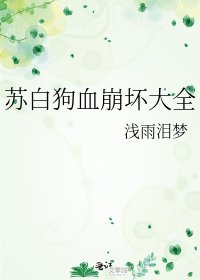 《苏白狗血崩坏大全》