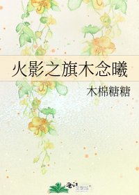 《火影之旗木念曦》