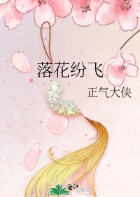 《落花纷飞》
