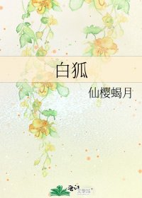 《白狐》