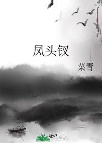 《凤头钗》