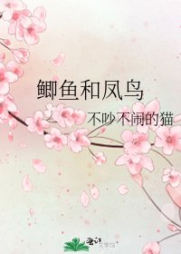 鲫鱼和凤鸟