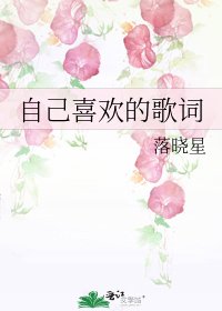 《自己喜欢的歌词》